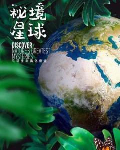 小猫钓鱼开船版最新版下载