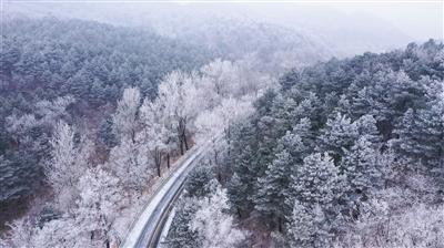 小鸡要回家